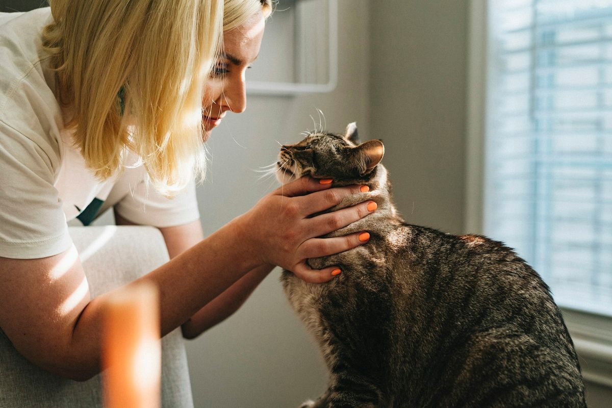 Pet sitter profesionist cu pisică și câine